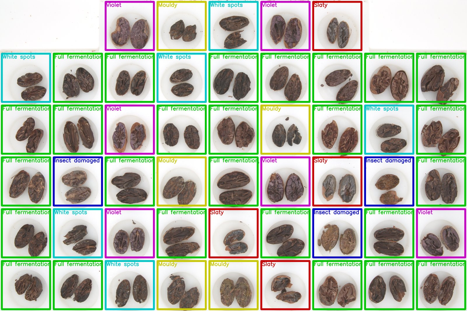 Example Grading Box analysis with classified cocoa beans